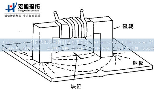 小蝌蚪黄APP磁軛探頭