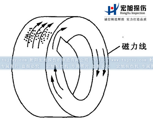小蝌蚪视频网站