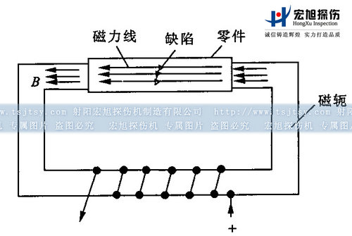 小蝌蚪视频网站閉路磁軛