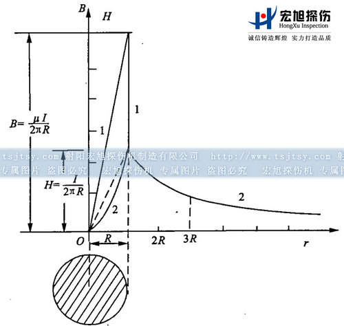 小蝌蚪视频网站