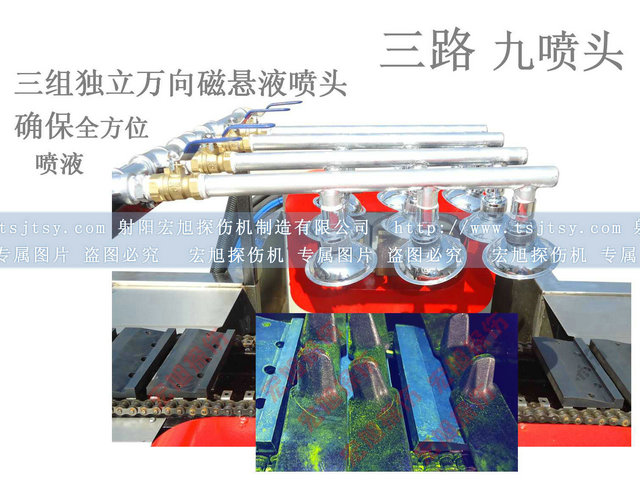 鐵齒小蝌蚪视频网站