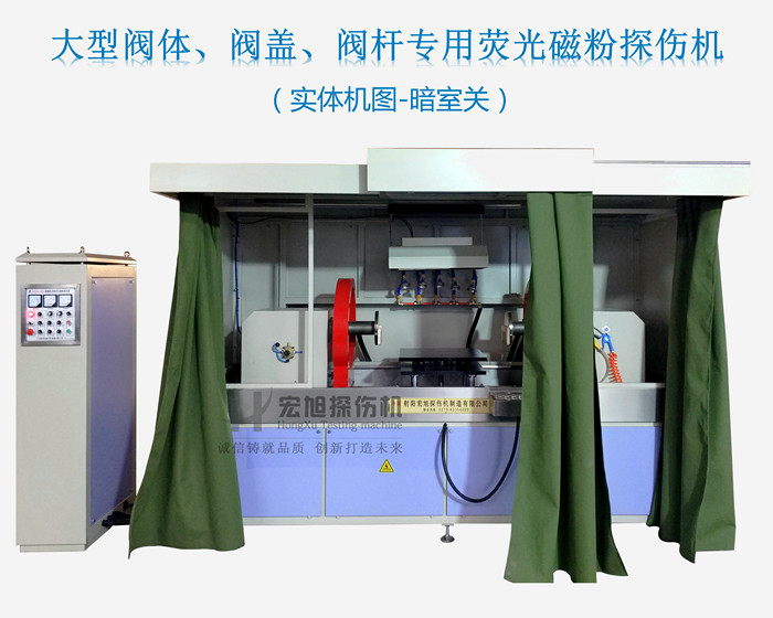 熒光小蝌蚪视频网站
